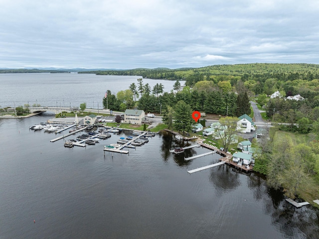 750 Roosevelt Trl Unit 7, Naples, ME 04055 - bird's eye view of a large body of water and a heavily wooded area