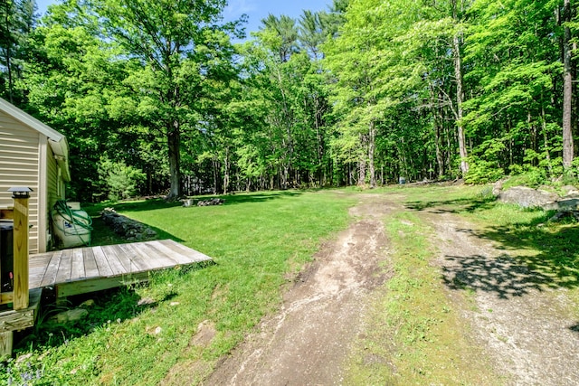 148 Naples Rd, Harrison, ME 04040 - view of green lawn with dirt driveway and a wooded view