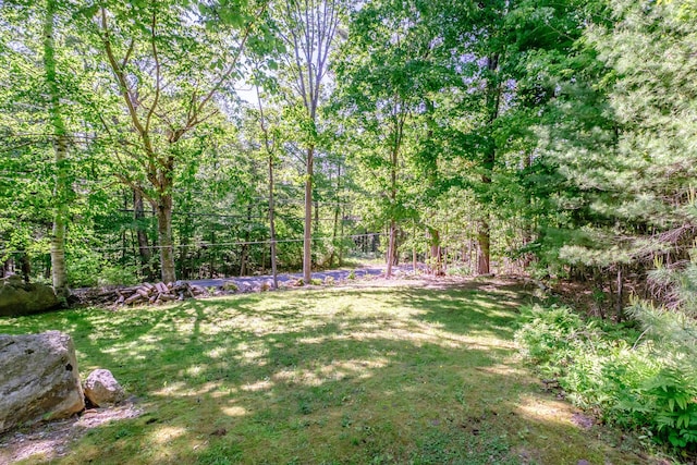 148 Naples Rd, Harrison, ME 04040 - view of grassy yard