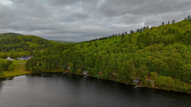 318 Waterford Rd, Waterford, ME 04088 - photo 6