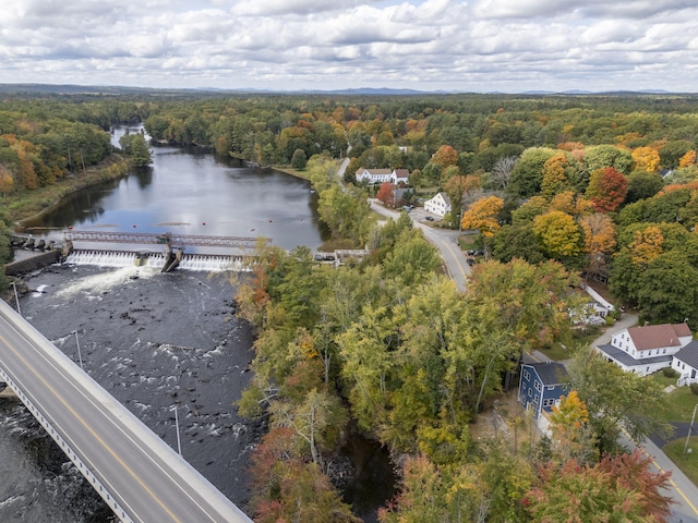 14 Depot St, Buxton, ME 04093 - drone / aerial view of a heavily wooded area and a nearby body of water
