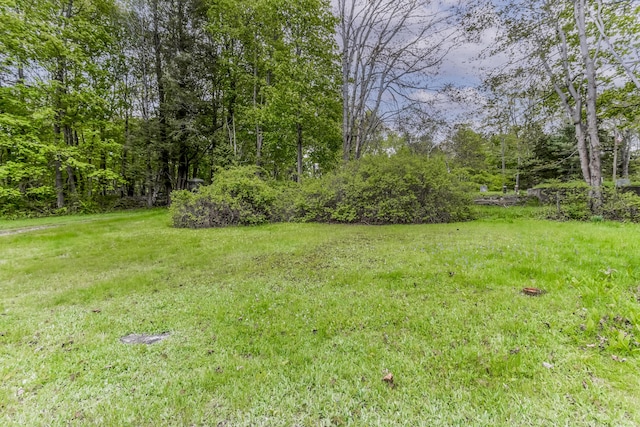 151 Central Ave, Portland, ME 04108 - view of green lawn