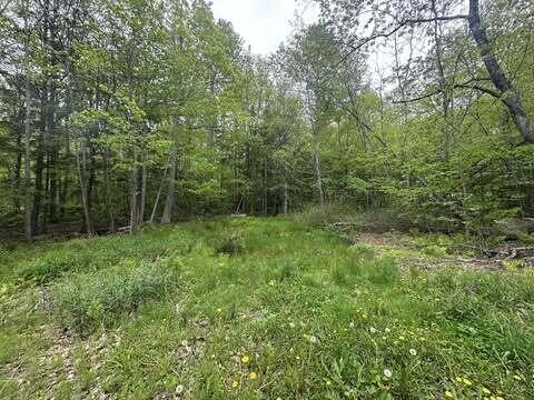 M12L19 Thomas Pond Shore Rd, Casco, ME 04015