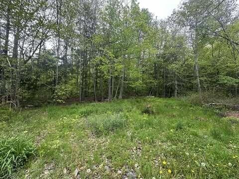 M12L19 Thomas Pond Shore Rd, Casco, ME 04015