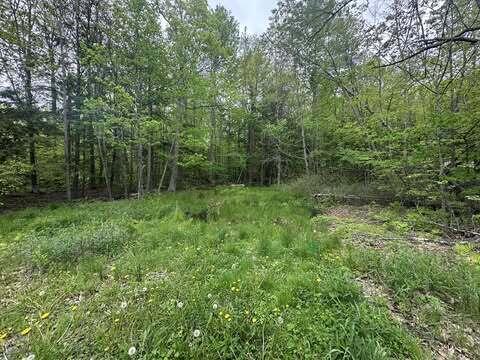 M12L19 Thomas Pond Shore Rd, Casco, ME 04015