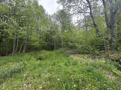 M12L19 Thomas Pond Shore Rd, Casco, ME 04015