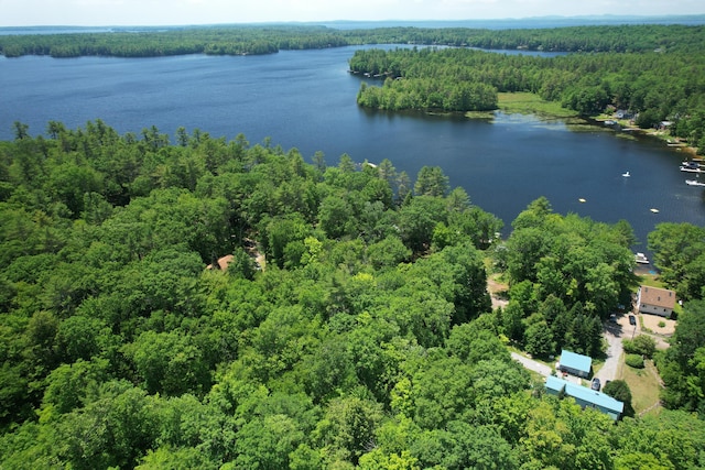 M12L19 Thomas Pond Shore Rd, Casco, ME 04015