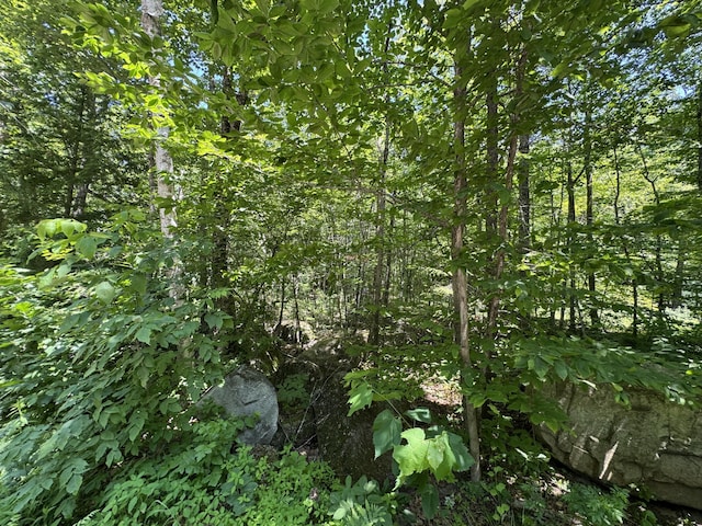 M12L19 Thomas Pond Shore Rd, Casco, ME 04015