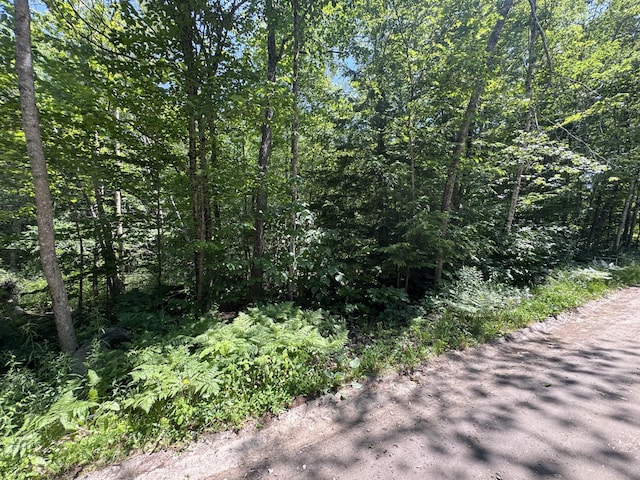 M12L19 Thomas Pond Shore Rd, Casco, ME 04015
