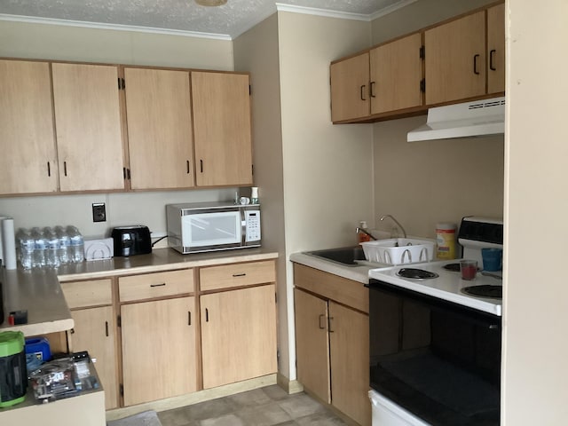 366 Station Rd, Easton, ME 04740 - photo 2