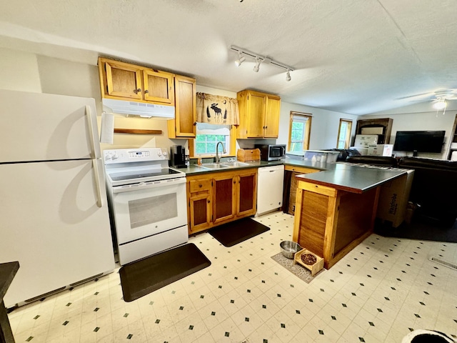 kitchen with white appliances, a sink, under cabinet range hood, dark countertops, and light flooring