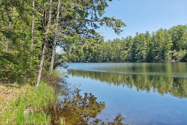 65 Lone Indian Trl, Augusta, ME 04330 - water view with a heavily wooded area