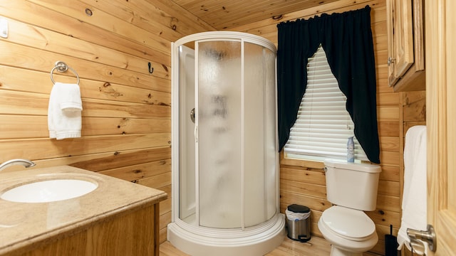 183 Pine Point Rd, Oxford, ME 04270 - full bathroom featuring a shower stall, wooden walls, vanity, and toilet