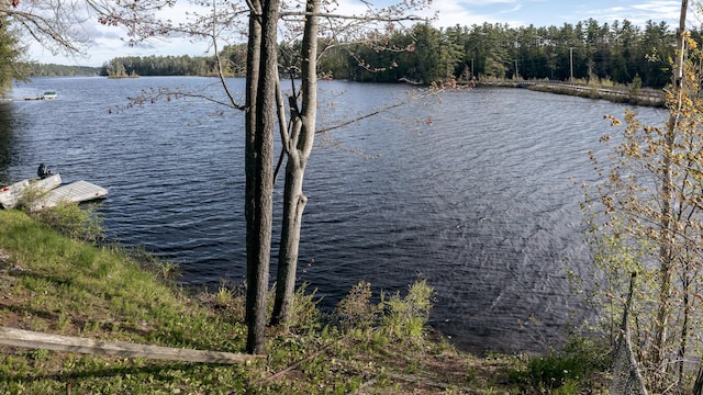 183 Pine Point Rd, Oxford, ME 04270 - water view featuring a forest