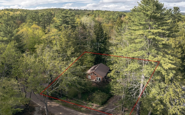 183 Pine Point Rd, Oxford, ME 04270 - view of subject property with a forest and property boundaries highlighted