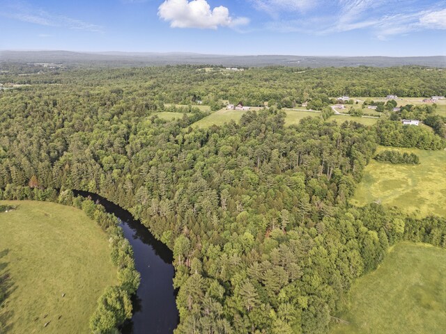 640 Lower St, Turner, ME 04282 - aerial view of property's location with a forest and a nearby body of water