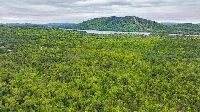 0 Whitney Rd, Bridgton, ME 04009
