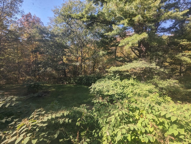 458 Carding Machine Rd, Bowdoinham, ME 04008 - view of yard with a view of trees
