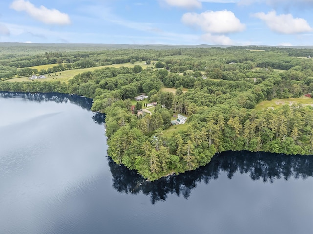 73 Hodsdon Ln, Jefferson, ME 04348 - aerial view of a forest and a large body of water