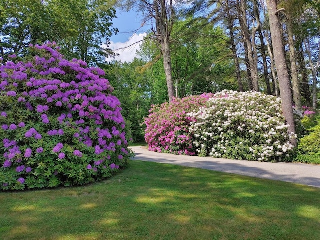 21 Ledge Rd, Cumberland, ME 04110 - view of green lawn