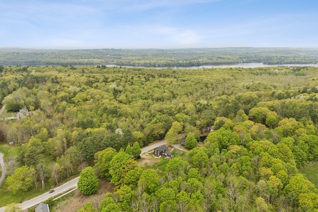 19 Bearce Rd, Winthrop, ME 04364 - view of property location with a heavily wooded area and a nearby body of water