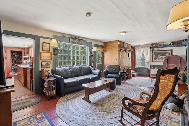 19 Bearce Rd, Winthrop, ME 04364 - living area featuring hardwood / wood-style floors and wooden walls
