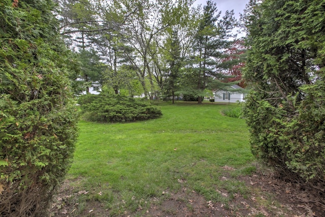 5 Glenridge Dr Unit 5, Portland, ME 04102 - view of grassy yard