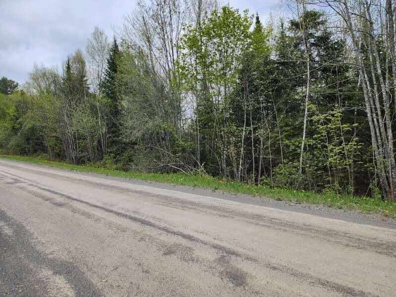 22.6AC Estabrook Rd, Amity, ME 04471