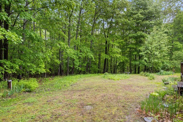 18 Ginger Ln, Saco, ME 04072 - view of yard featuring a forest view