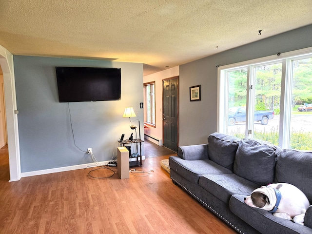 25 Mill Ln, Naples, ME 04055 - living room with baseboard heating, wood finished floors, a textured ceiling, and baseboards