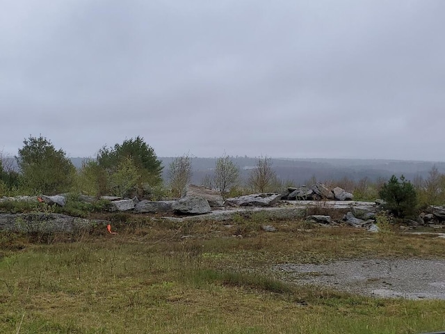 259-265 Bowden Point Rd, Prospect, ME 04981 - view of yard