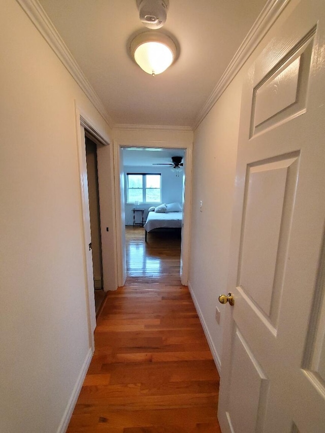 259-265 Bowden Point Rd, Prospect, ME 04981 - hallway featuring light wood-style flooring, crown molding, and baseboards