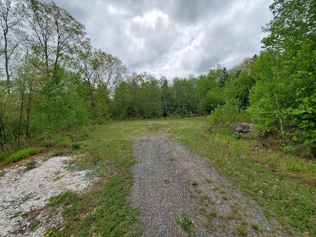 259-265 Bowden Point Rd, Prospect, ME 04981 - view of road featuring a forest view