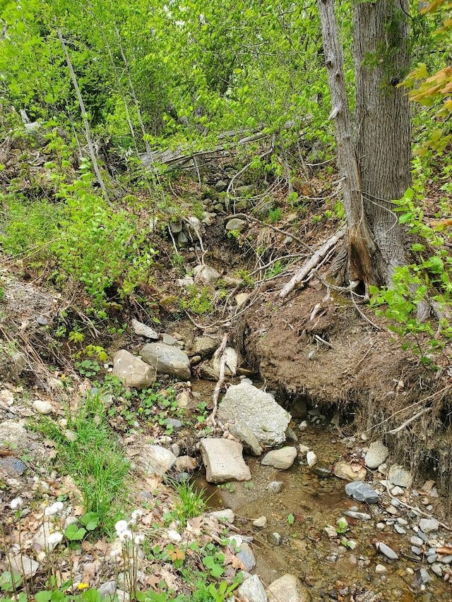 259-265 Bowden Point Rd, Prospect, ME 04981 - view of undeveloped land