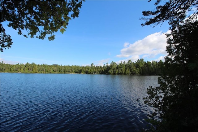 113 W Arm Rd, Magalloway Plt, ME 04970 - water view featuring a forest