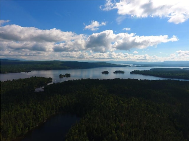 113 W Arm Rd, Magalloway Plt, ME 04970 - water view featuring a heavily wooded area