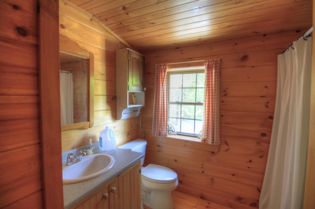 113 W Arm Rd, Magalloway Plt, ME 04970 - full bath with vanity, toilet, wood walls, wood ceiling, and a shower with curtain