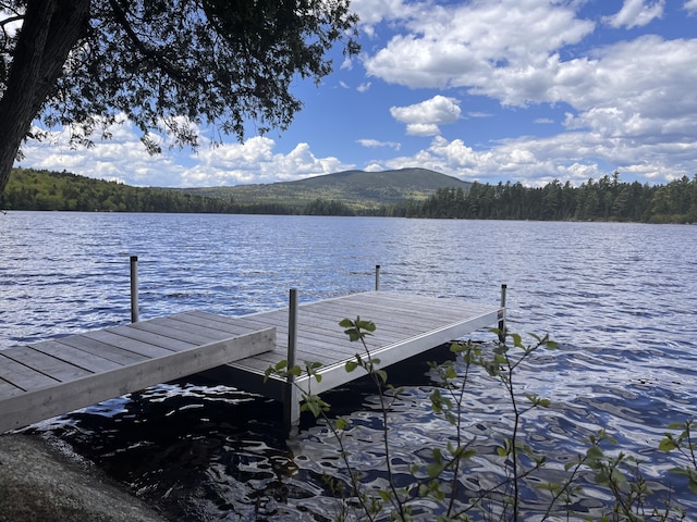 113 W Arm Rd, Magalloway Plt, ME 04970 - photo 7