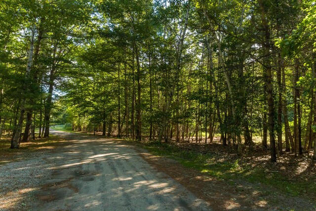 161 W Shore Dr, Portland, ME 04109 - photo 18