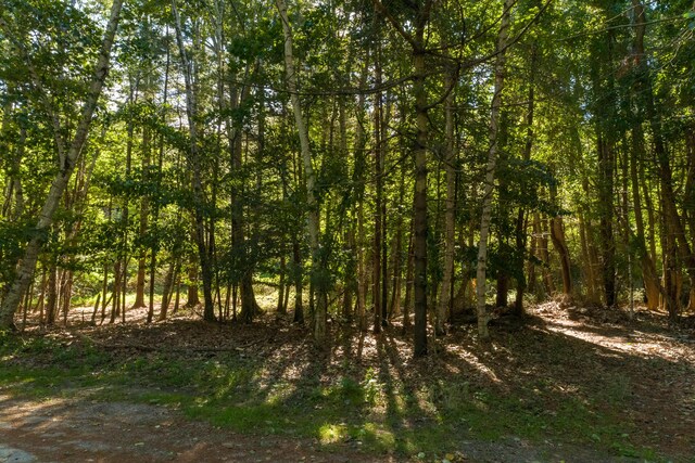 161 W Shore Dr, Portland, ME 04109 - photo 19