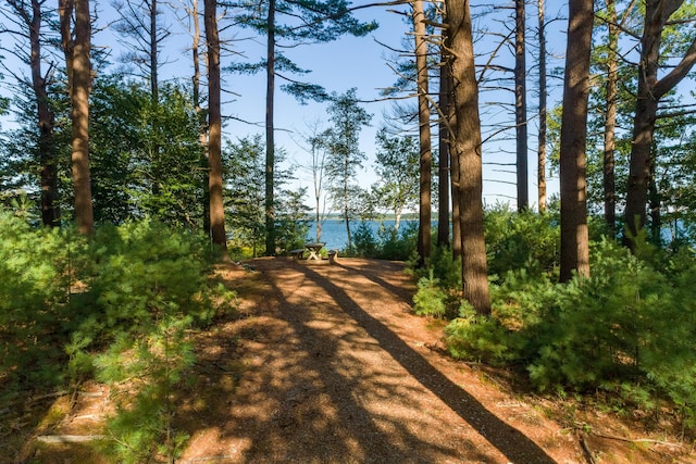 161 W Shore Dr, Portland, ME 04109 - photo 27