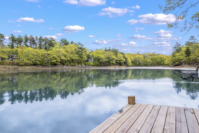 21 Harpswell Islands Rd, Harpswell, ME 04079 - dock with a water view and a wooded view