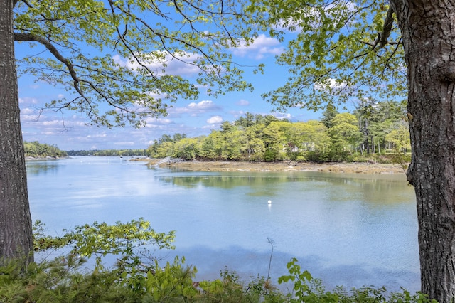 21 Harpswell Islands Rd, Harpswell, ME 04079 - water view with a heavily wooded area