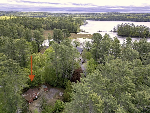 107 Meadow Rd, Raymond, ME 04071 - aerial view of property and surrounding area featuring a heavily wooded area and a large body of water