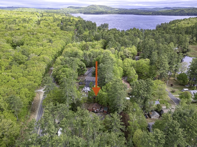 107 Meadow Rd, Raymond, ME 04071 - view of property location featuring a forest and a nearby body of water