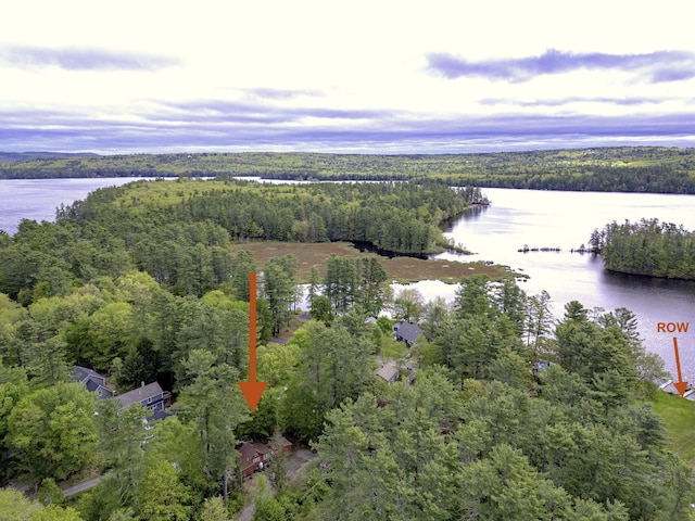 107 Meadow Rd, Raymond, ME 04071 - aerial view of property and surrounding area featuring a forest and a nearby body of water