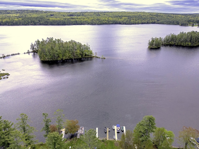 107 Meadow Rd, Raymond, ME 04071 - drone / aerial view of a forest and a nearby body of water