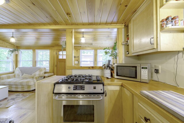 107 Meadow Rd, Raymond, ME 04071 - kitchen with appliances with stainless steel finishes, healthy amount of natural light, wooden ceiling, light countertops, and open shelves