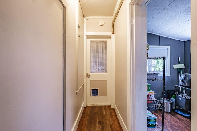 45 High St, Biddeford, ME 04005 - hallway with wood finished floors, vaulted ceiling, and ornamental molding