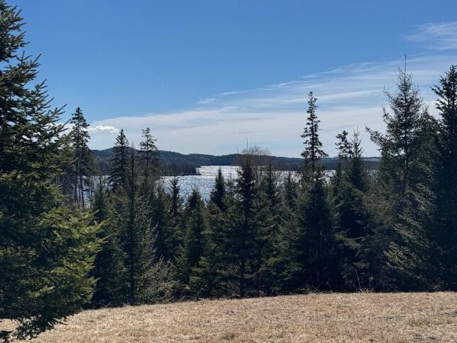 M17L15 Battle Ave, Castine, ME 04421